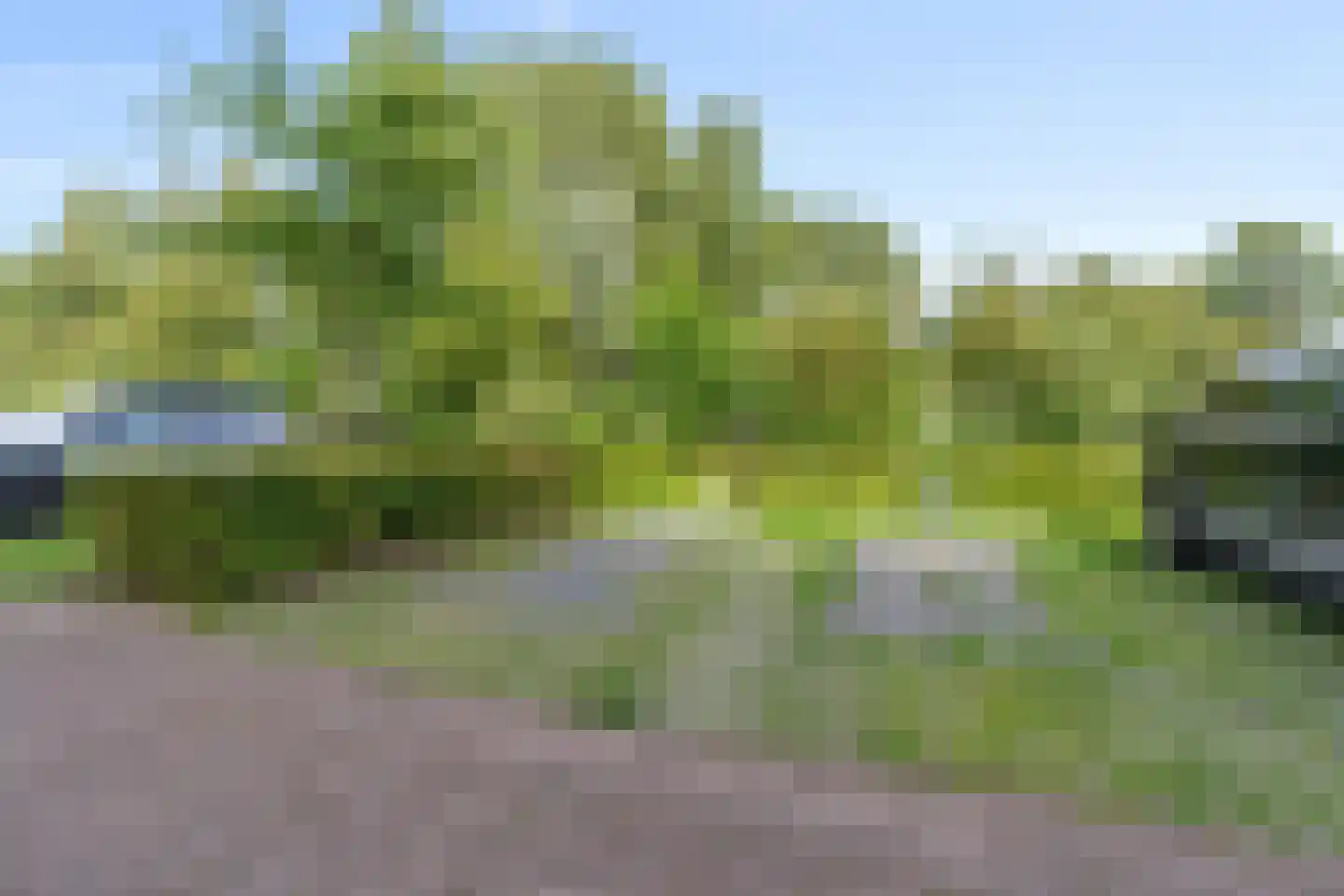Plataanpad 56 Hoef en Haag thumbnail 31
