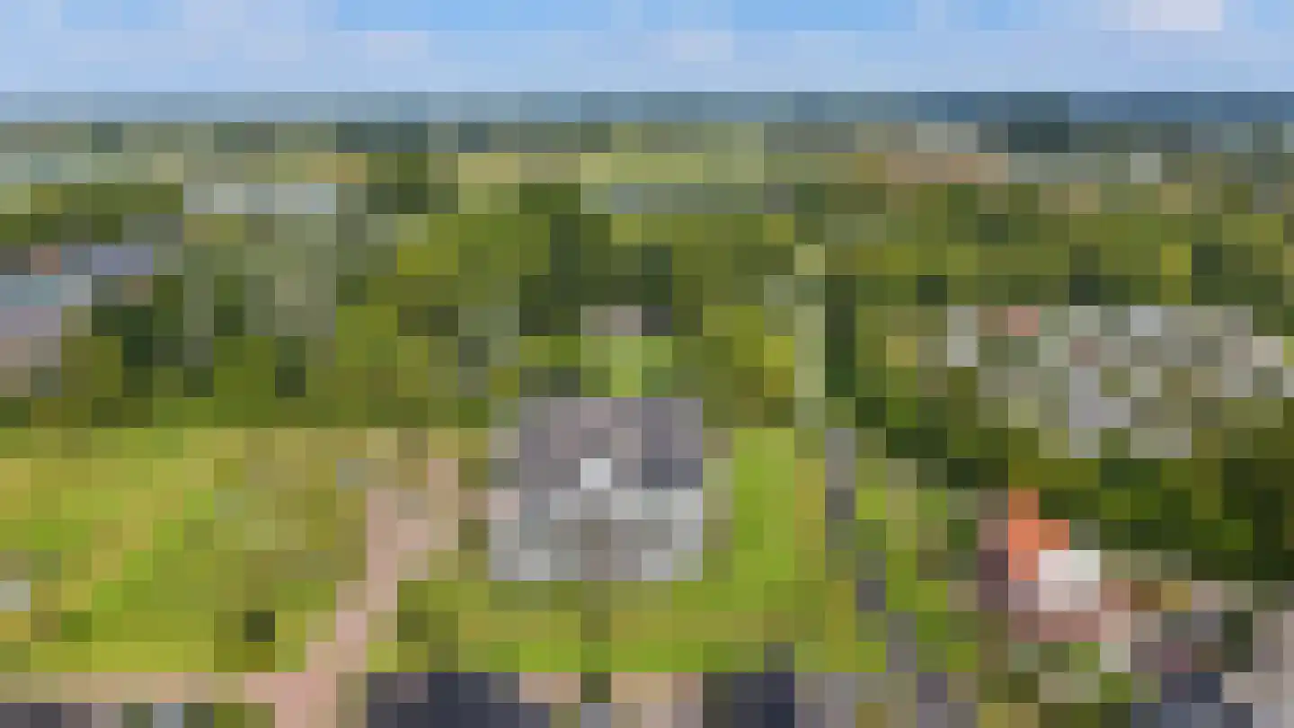 Plataanpad 56 Hoef en Haag thumbnail 32