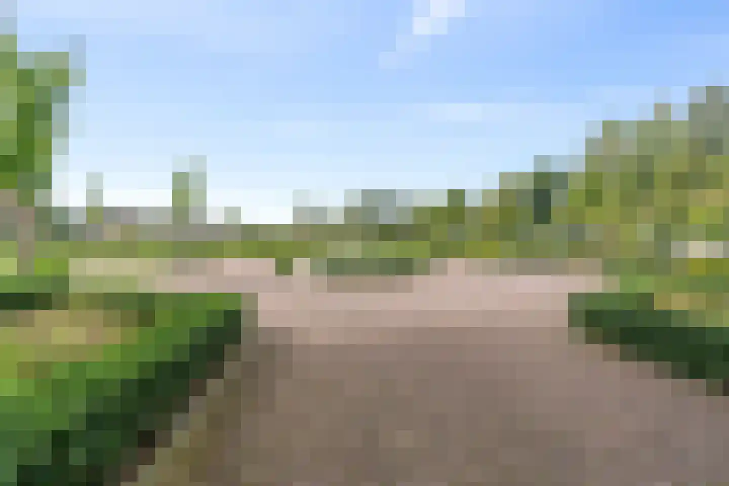Plataanpad 56 Hoef en Haag thumbnail 37