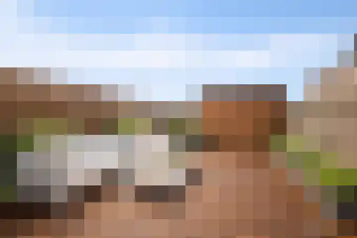 Plataanplein 10 A Drunen thumbnail 14