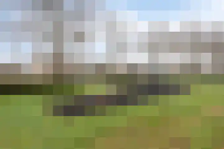 Plataanplein 10 A Drunen thumbnail 25