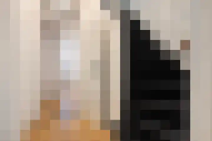 Plataanplein 10 A Drunen thumbnail 5