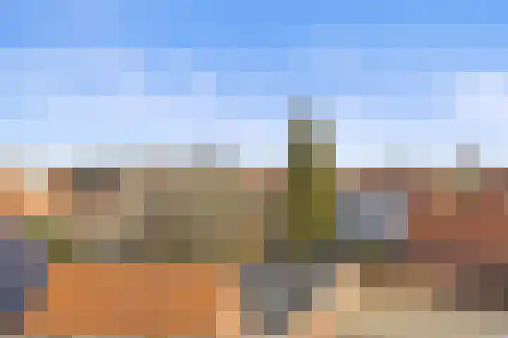 Plataanplein 10 B Drunen thumbnail 17
