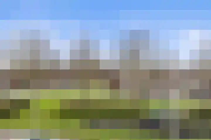 Plataanplein 10 B Drunen thumbnail 18
