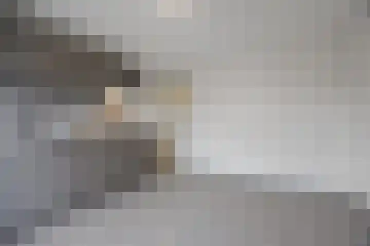 Plataanplein 10 B Drunen thumbnail 9
