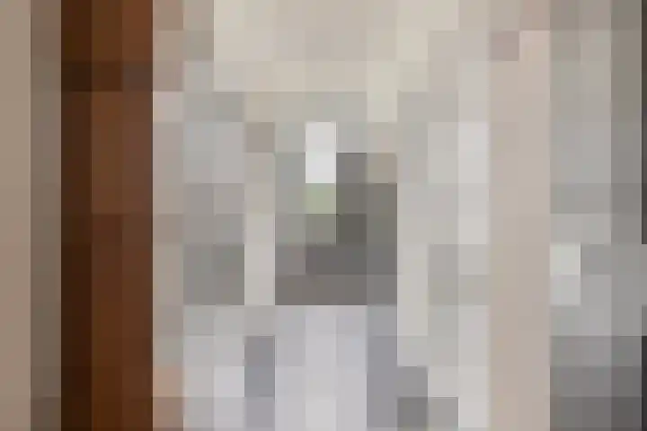 Plataanplein 8 Drunen thumbnail 15