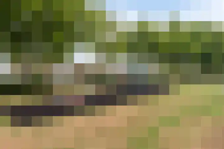Plataanplein 8 Drunen thumbnail 29