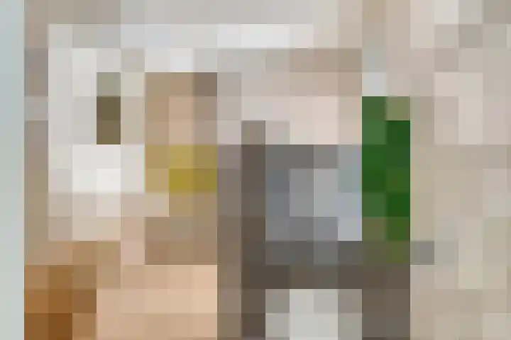 Plataanplein 8 Drunen thumbnail 4