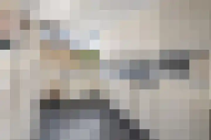 Plataanstraat 1 Fijnaart thumbnail 14