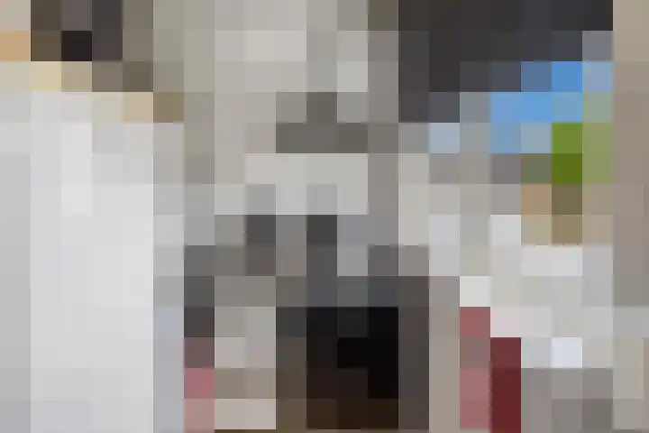Plataanstraat 1 Fijnaart thumbnail 16