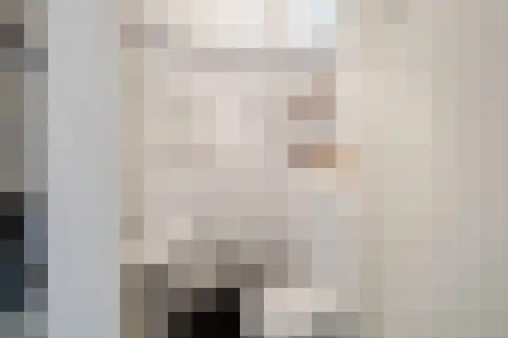 Plataanstraat 1 Fijnaart thumbnail 17