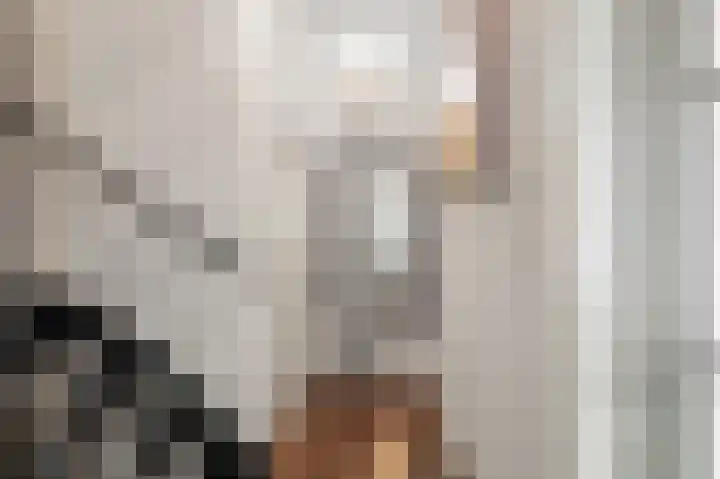 Plataanstraat 1 Fijnaart thumbnail 18