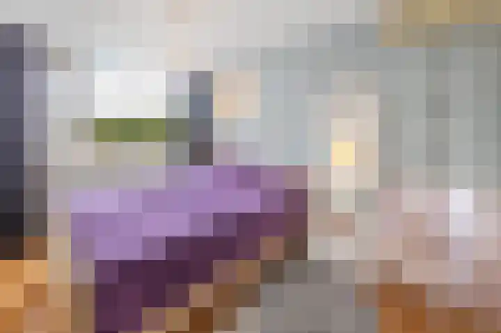 Plataanstraat 1 Fijnaart thumbnail 19