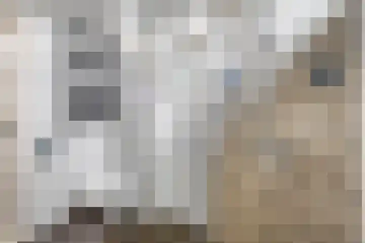 Plataanstraat 1 Fijnaart thumbnail 22