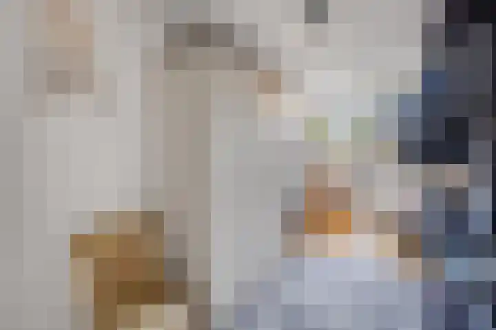 Plataanstraat 1 Fijnaart thumbnail 24