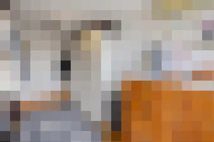 Plataanstraat 1 Fijnaart thumbnail 25