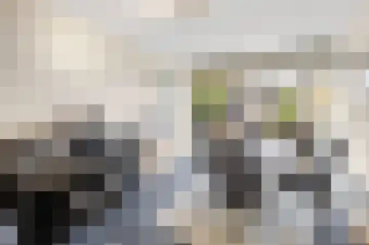 Plataanstraat 1 Fijnaart thumbnail 30