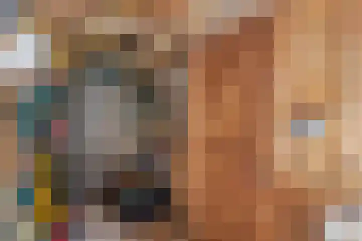 Plataanstraat 1 Fijnaart thumbnail 36