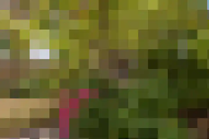Plataanstraat 1 Fijnaart thumbnail 37