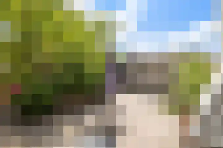 Plataanstraat 1 Fijnaart thumbnail 38