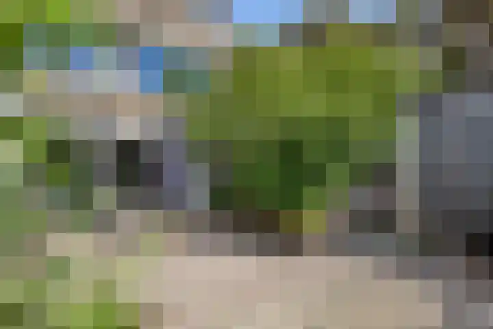 Plataanstraat 1 Fijnaart thumbnail 39