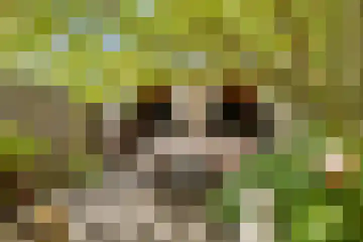 Plataanstraat 1 Fijnaart thumbnail 4