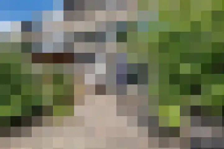 Plataanstraat 1 Fijnaart thumbnail 40