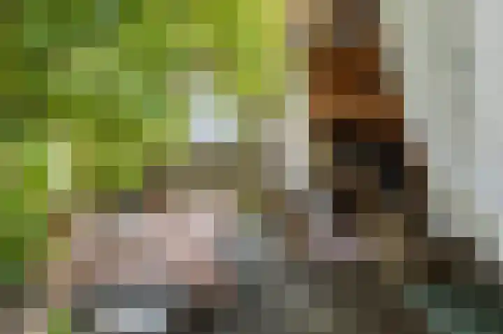 Plataanstraat 1 Fijnaart thumbnail 41