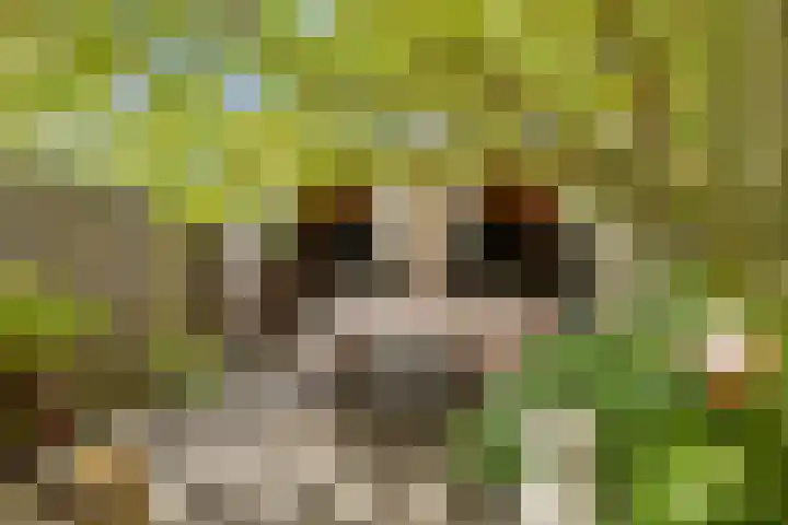 Plataanstraat 1 Fijnaart thumbnail 42