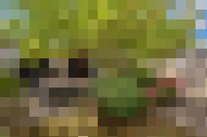 Plataanstraat 1 Fijnaart thumbnail 43