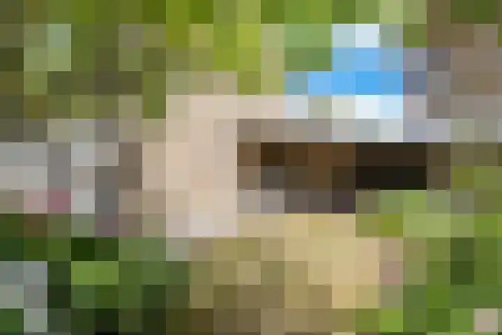 Plataanstraat 1 Fijnaart thumbnail 44