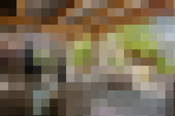Plataanstraat 1 Fijnaart thumbnail 47