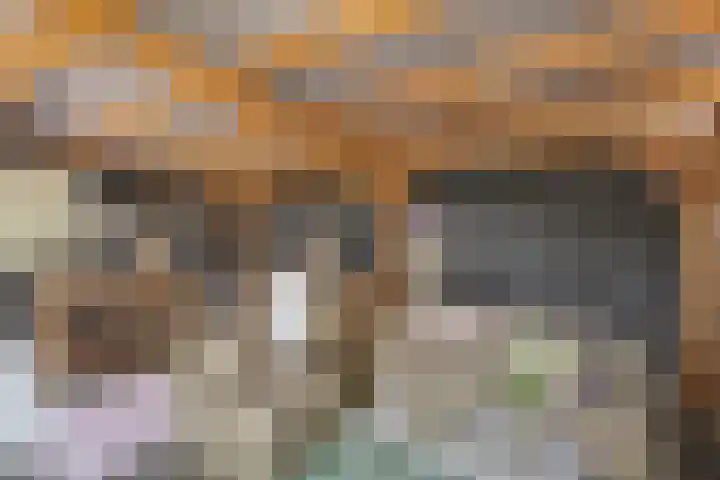Plataanstraat 1 Fijnaart thumbnail 48