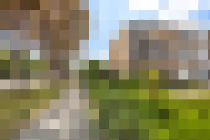 Plataanstraat 1 Fijnaart thumbnail 54