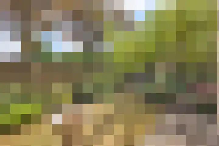 Plataanstraat 1 Fijnaart thumbnail 6