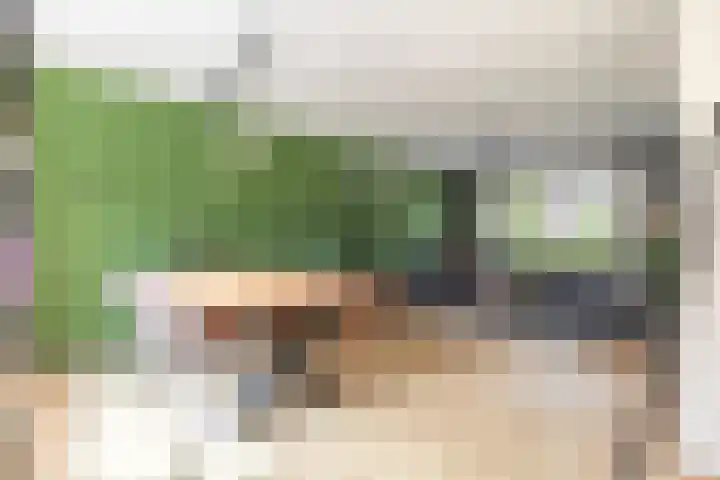 Plataanstraat 1 Zundert thumbnail 10