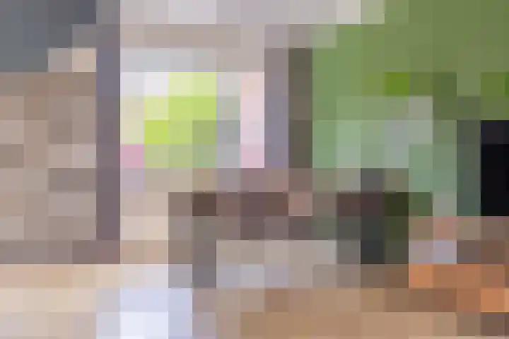 Plataanstraat 1 Zundert thumbnail 11