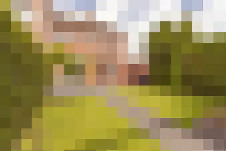 Plataanstraat 1 Zundert thumbnail 26