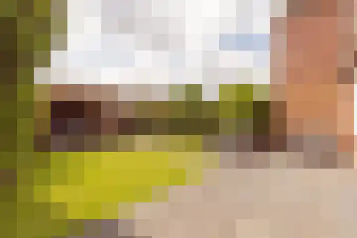 Plataanstraat 1 Zundert thumbnail 27