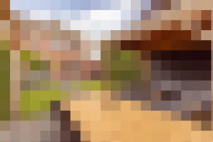 Plataanstraat 1 Zundert thumbnail 28