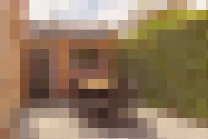 Plataanstraat 1 Zundert thumbnail 29