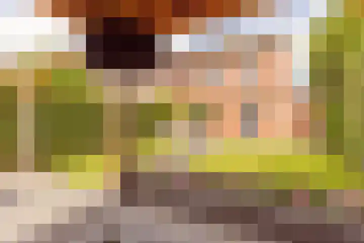 Plataanstraat 1 Zundert thumbnail 30