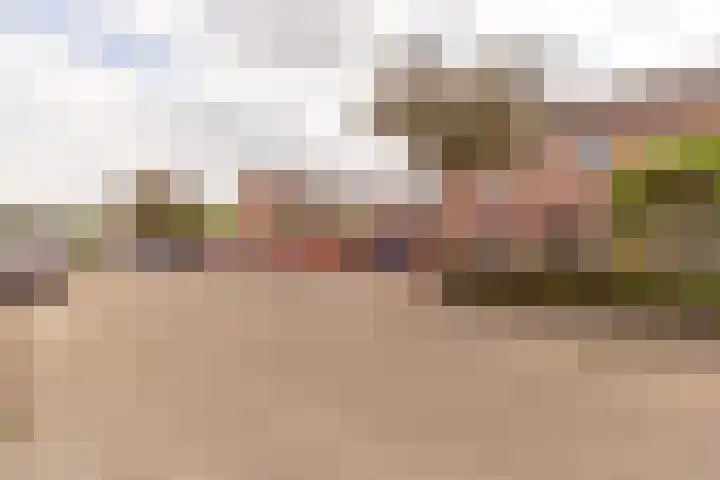 Plataanstraat 1 Zundert thumbnail 33