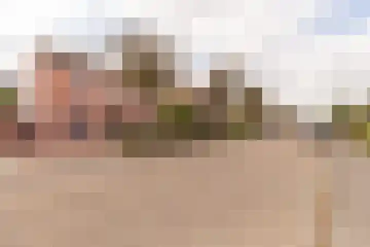 Plataanstraat 1 Zundert thumbnail 34