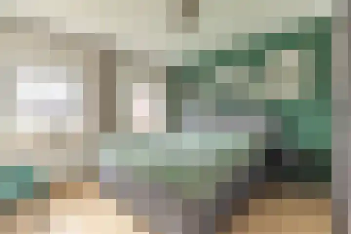 Plataanstraat 1 Zundert thumbnail 4