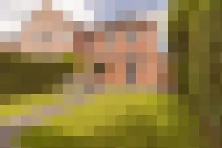 Plataanstraat 1 Zundert thumbnail 6