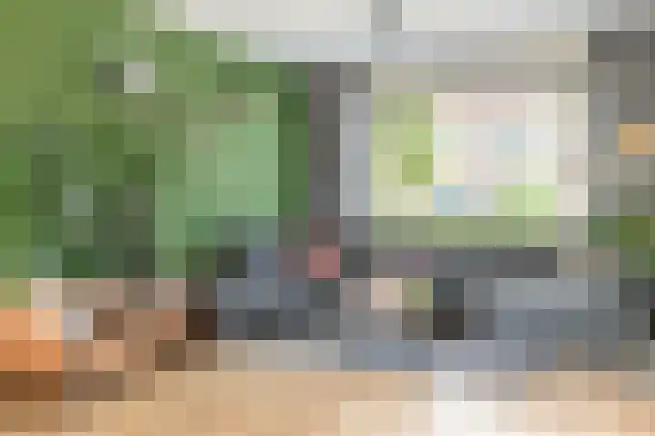 Plataanstraat 1 Zundert thumbnail 8