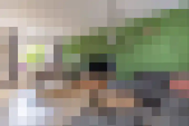 Plataanstraat 1 Zundert thumbnail 9