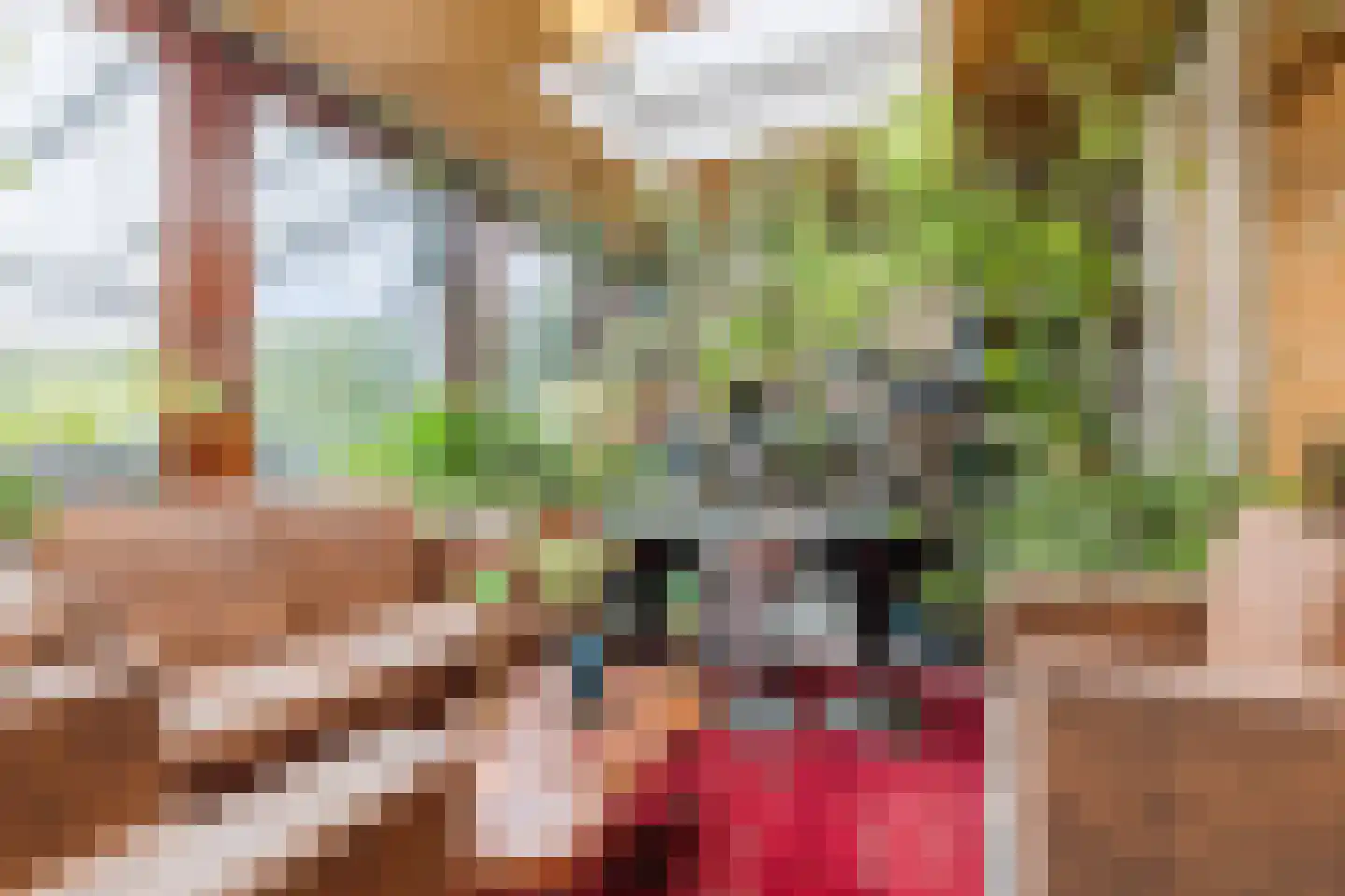 Plataanstraat 10 Echt thumbnail 17