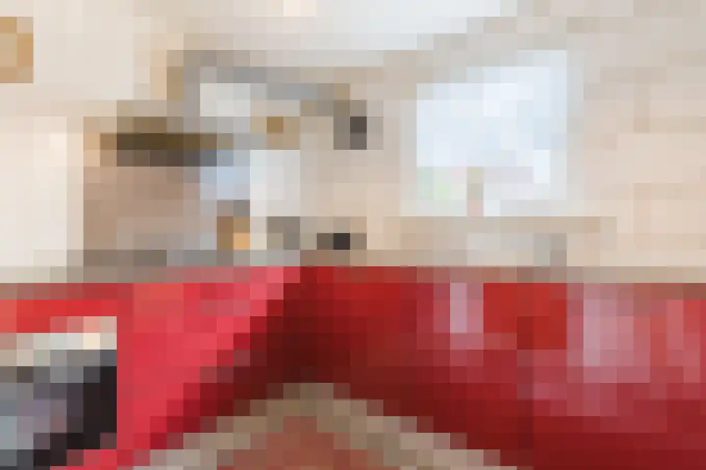 Plataanstraat 10 Echt thumbnail 20